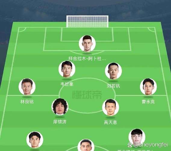 中国亚洲杯阵容预测，亚洲杯中国队的比赛？
