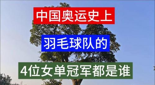 本届奥运会羽毛球冠军，本届奥运会羽毛球冠军名单？