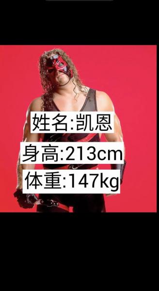 wwe职业摔跤是真的打吗，播放wwe职业